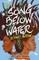 A Song Below Water