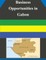 Business Opportunities in Gabon