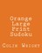 Orange Large Print Sudoku