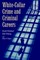 White-Collar Crime and Criminal Careers