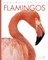 Flamingos