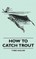 How To Catch Trout