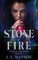 Stone of Fire (Vitarian Chronicles Volume 3)