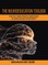 Neuroeducation Toolbox