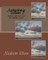 Arrhythmia - Volume 2