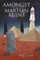 Amongst the Martian Ruins