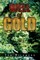 Well of Gold
