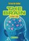 The Brain