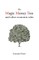 The Magic Money Tree and Other Economic Tales