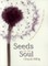 Seeds for the Soul