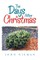 The Days After Christmas
