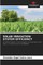 Solar Irrigation System Efficiency