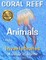 Coral Reef Animals Book 1