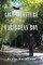 The Love Adventure Of A Caribbean Boy