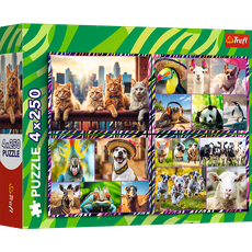 TREFL puzzle set Funny Animals, 4x250 pcs