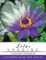 Lotus Shading Coloring Book