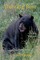 Dancing Bear