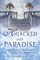 Hijacked Into Paradise