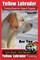 Yellow Labrador Training Book for Dogs and Puppies by Boneup Dog Training