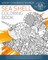 Sea Shell Coloring Book