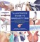 Illustrated Guide to Saddle Fitting