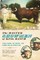 The Master Showmen of King Ranch