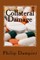 Collateral Damage