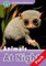 Read and Discover Level 4 Animals at Night Audio CD Pack