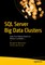 SQL Server Big Data Clusters