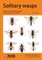 Solitary wasps