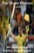 The Shane Watson (Color)