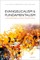 Evangelicalism and Fundamentalism in the United Kingdom During the Twentieth Century