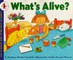 What's Alive? (Paperback)