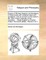 Essays of Michael Seigneur de Montaigne. In three books with marginal notes and quotations. And an account of the author's life. With a short character of the ... translator, ... Made English by Charles Cotton, The fourth edition, Volume 3 of 3