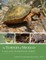 The Turtles of Mexico