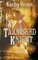 A Tarnished Knight