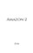 Amazon-2