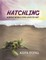 Hatchling