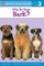 Why Do Dogs Bark?