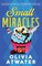 Small Miracles