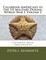 Calabrian-Americans in the US Military During World War I, Volume 2