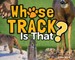 Whose Track Is That?