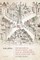 Information Institutions and Local Government in England 115