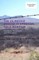 The Us-Mexico Border in American Cold War Film
