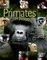 Primates in Perspective