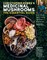 Christopher Hobbs's Medicinal Mushrooms: The Essential Guide