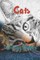 Cat Coloring Sheets