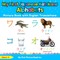 My First Japanese Katakana Alphabets Picture Book with English Translations