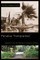 Paradise Transplanted