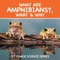 What Are Amphibians?, What & Why